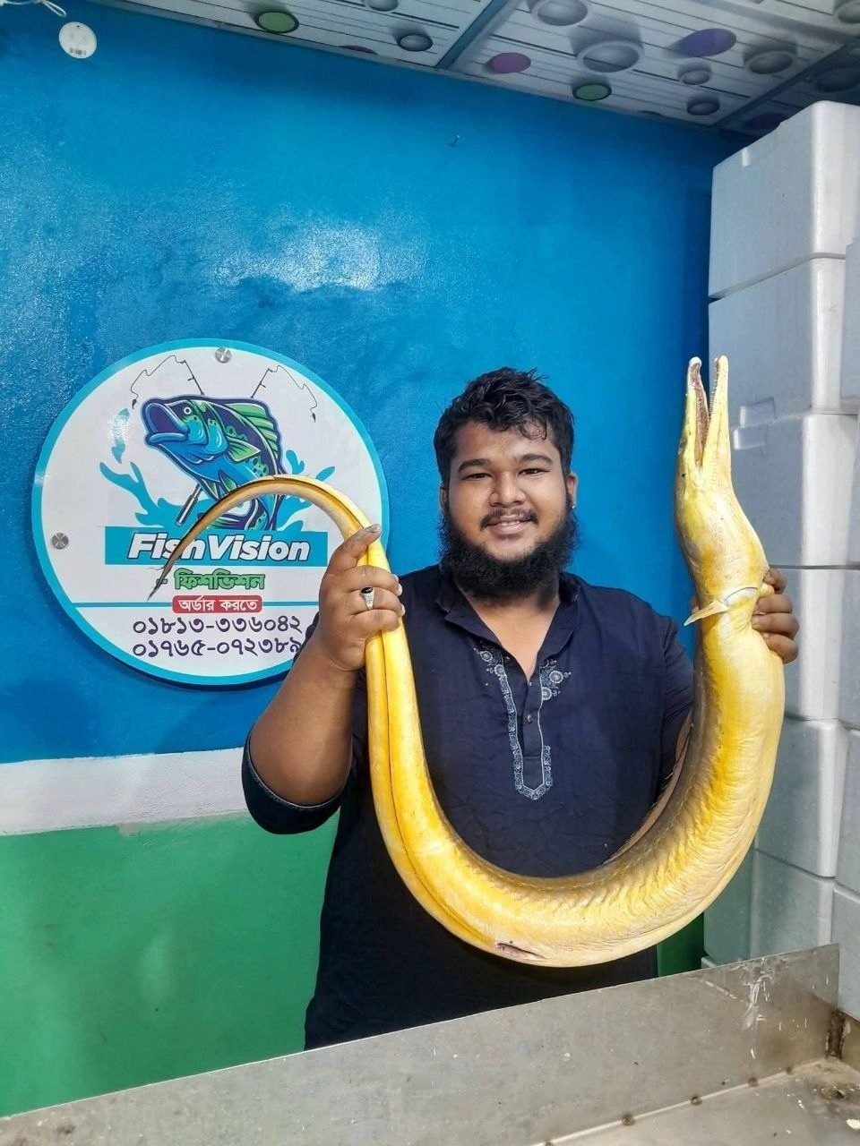 Fresh Sea Golden Pike Eel 3 Fresh Sea Golden Pike Eel