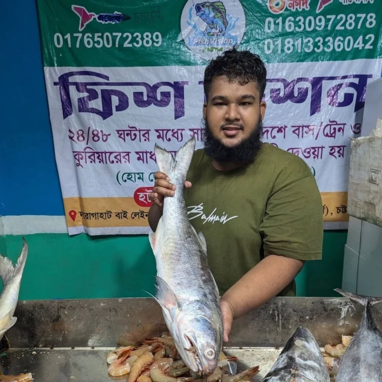 Premium Fresh Lakka (Indian Salmon) Fish Online