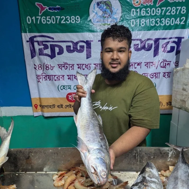 Premium Fresh Lakka (Indian Salmon) Fish Online