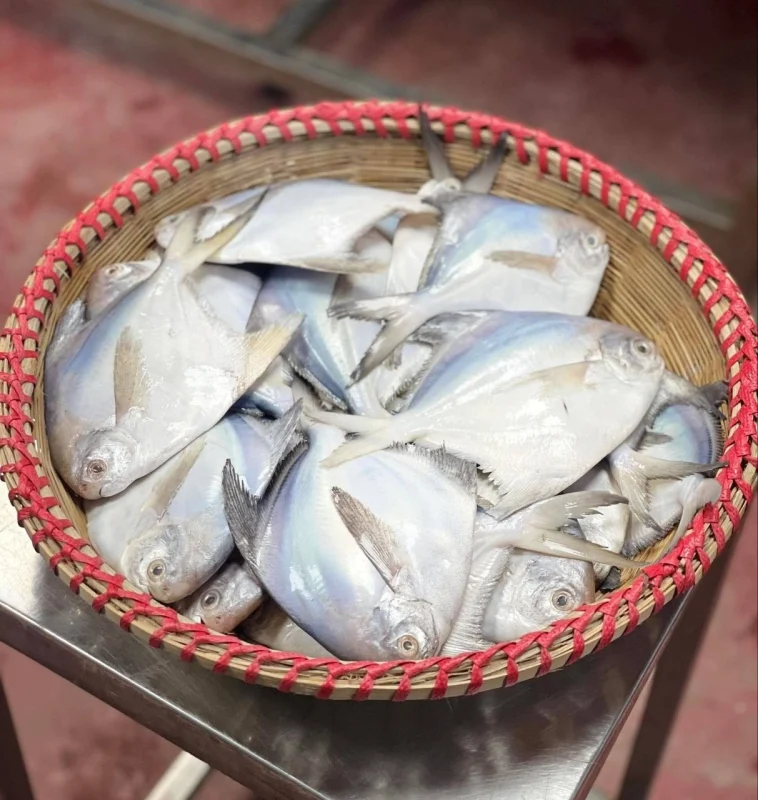 Premium Fresh Rupchanda (Pomfret) Fish Online