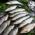 নদীর মাছ