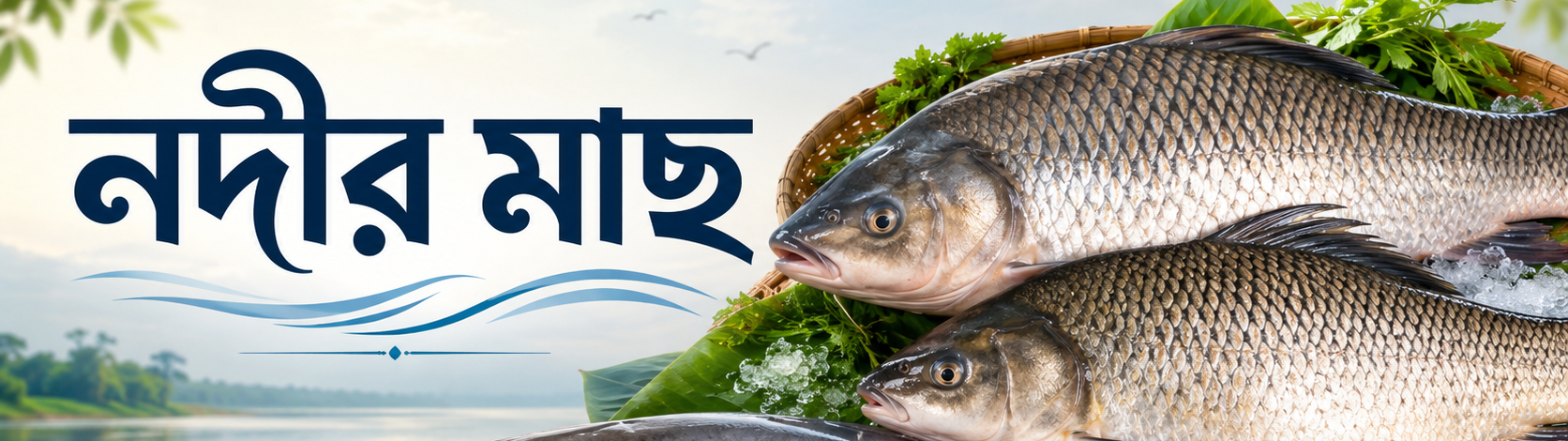 nodir_mach_banner_half_height