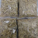 Buy Premium Organic Kaski Shutki Online | Fish Vision