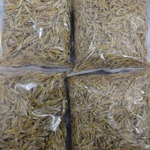 Buy Premium Organic Kaski Shutki Online | Fish Vision