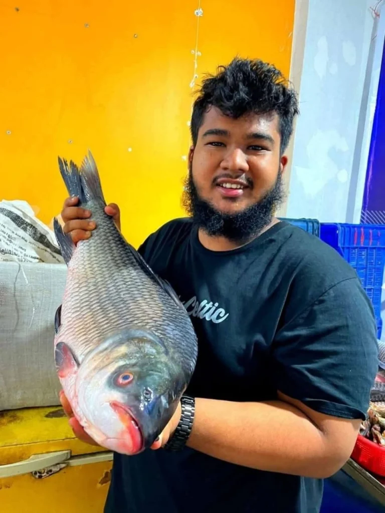 কাতল মাছ (বা, River Catla Fish)