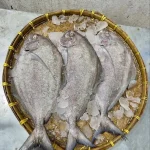 Fresh Sea Black Pomfret / Kalo Rupchanda Fish