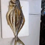 Buy Premium Organic Chapa Surma Shutki Online | Fish Vision