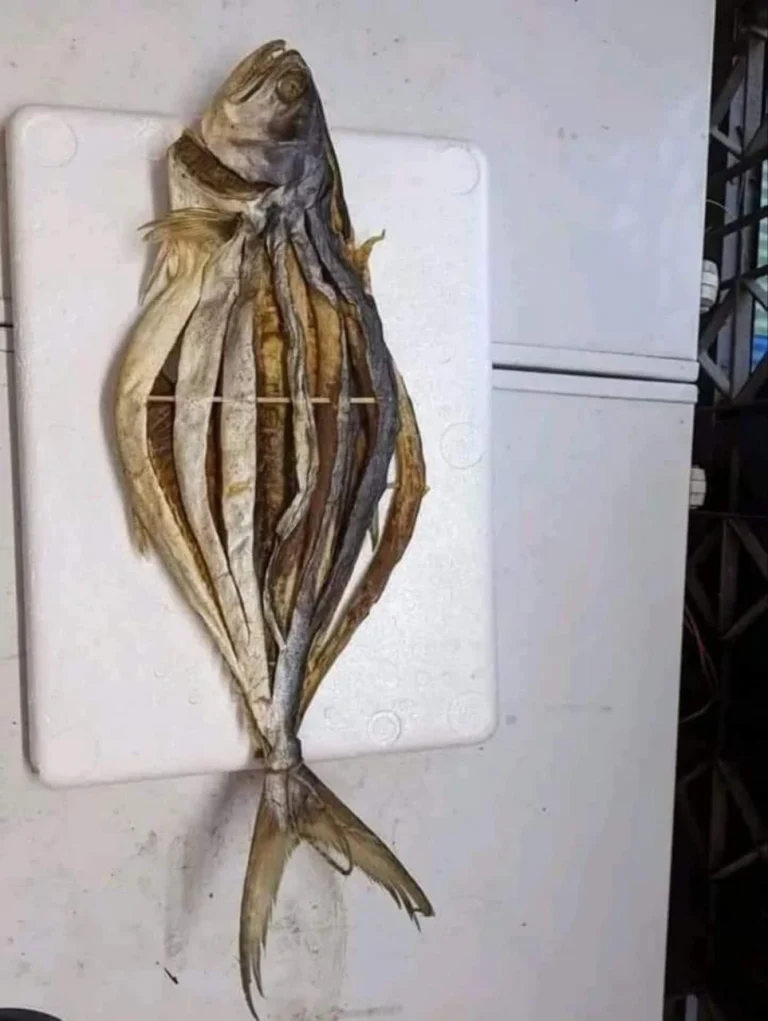 Buy Premium Organic Chapa Surma Shutki Online | Fish Vision