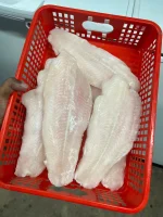 Premium Premium Dory Fish Fillet / Boneless & Skinless