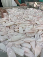 Premium Premium Dory Fish Fillet / Boneless & Skinless