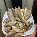 Buy Premium Traditional Puti Chapa Shutki Online | Fish Vision