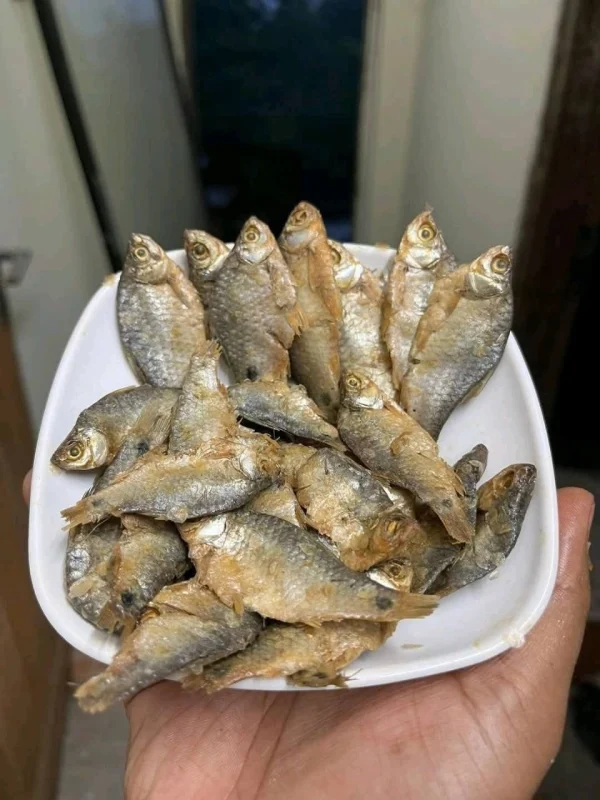 Buy Premium Traditional Puti Chapa Shutki Online | Fish Vision
