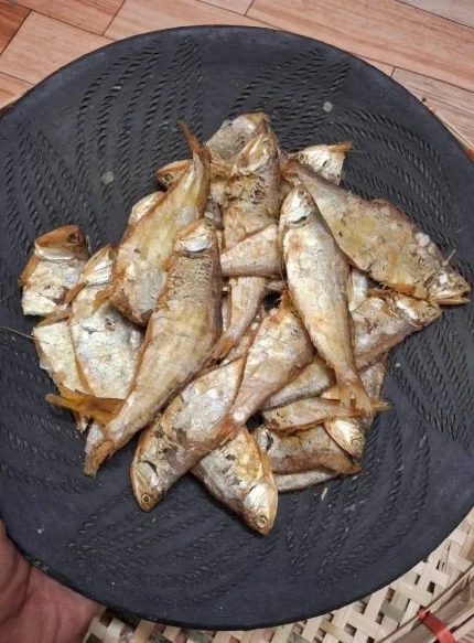 Buy Premium Organic Bashpata Shutki Online | Fish Vision
