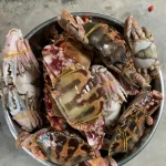 বাংলালিংক কাঁকড়া (বা, Banglalink Crab)
