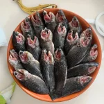 দেশি কৈ মাছ (বা, Deshi Koi Fish / Native Climbing Perch)