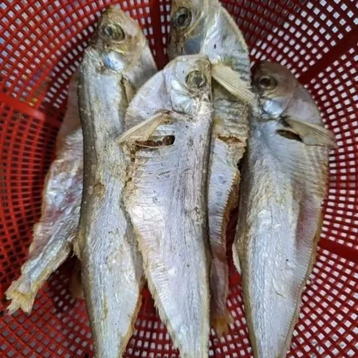 Buy Premium Organic Bairagi Shutki Online | Fish Vision