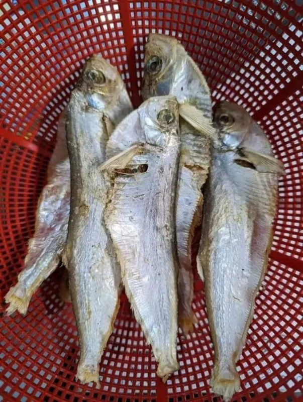 Buy Premium Organic Bairagi Shutki Online | Fish Vision