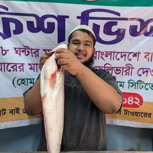 Fresh River Boal Fish / Premium Big Size River Catfish