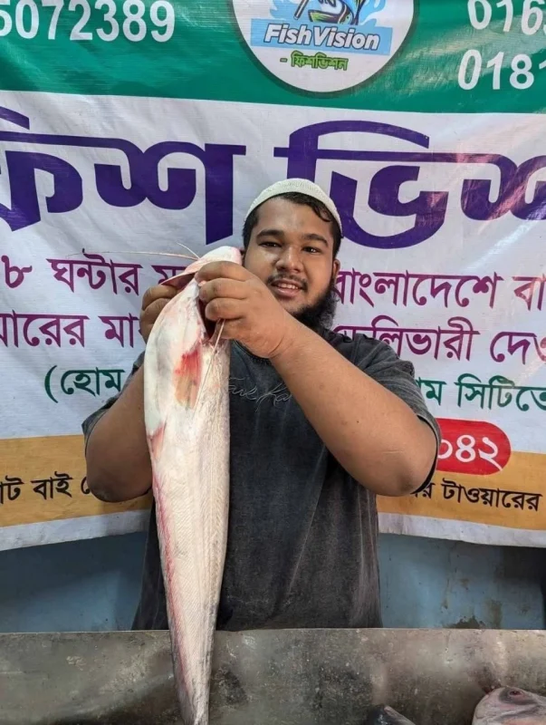 Fresh River Boal Fish / Premium Big Size River Catfish