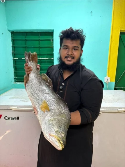 Premium Fresh Sea Vetki Koral Fish Online