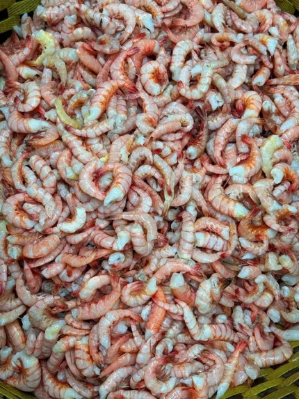 Premium Sea Red Pink Shrimp / Fresh Ocean Pink Chingri