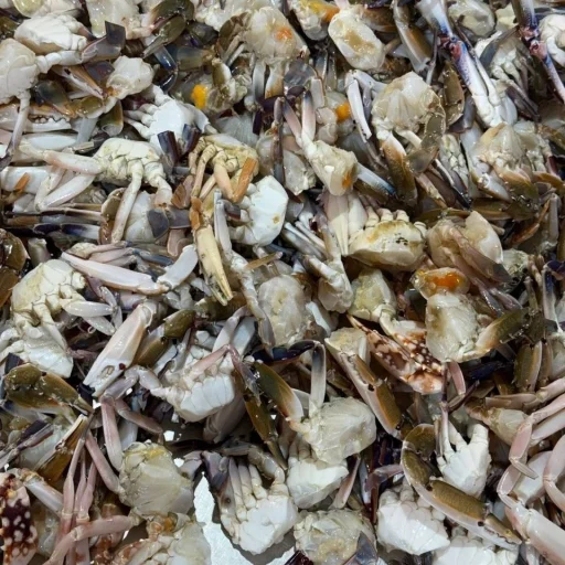 রেডি টু কুক কাঁকড়া (বা, Cleaned Crab)