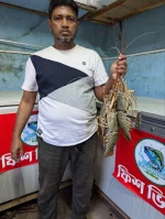 লবস্টার চিংড়ি (বা, Spiny Lobster)