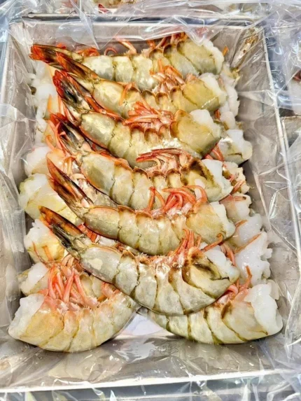 Premium Sea White Chaka Prawn / Fresh Big Size Chaka Chingri